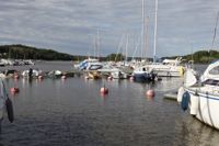Flera hamnkaptener förutspår att allt fler båtförare kommer att minska på antalet båtturer under sommaren. 
