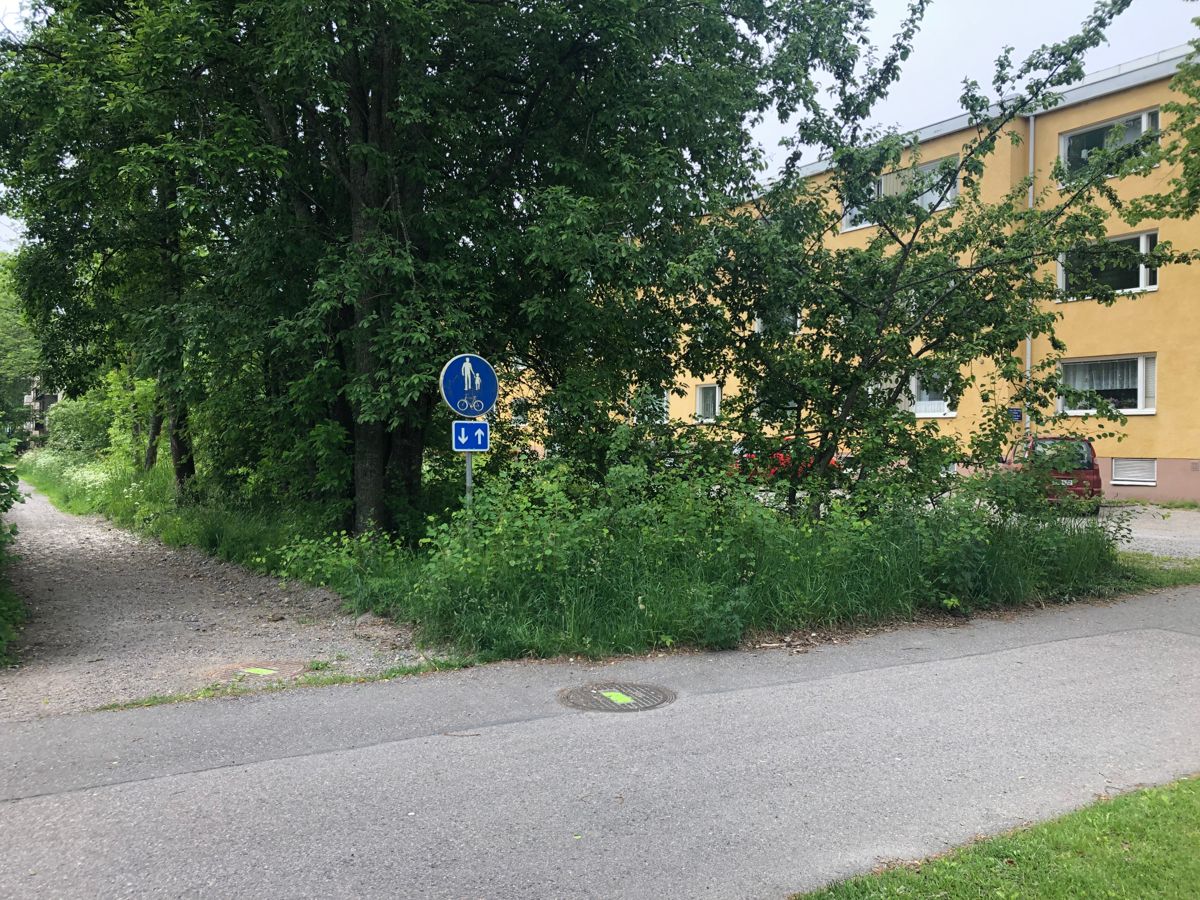 Ett outbrutet område vid Esplanaden 72 i Hangö väcker diskussion.