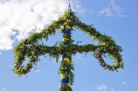 Är den grönbeklädda midsommarstången en fallossymbol eller inte?