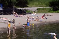 I Helsingfors är de flesta badplatser fria från cyanobakterier, med undantag från Sanduddens badstrand, Råholmen och Munksnässtrand. 