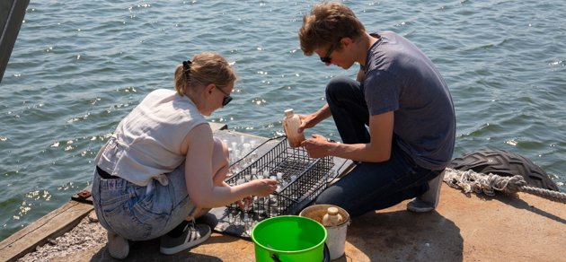 Forskarassistent Anna Kangas och biträdande forskare Markus Lauha samlar vattenprover som förs till två olika labb i Helsingfors.