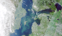 Algblomning på Östersjön 27.6.2022.