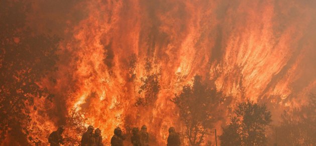 Brandmän kämpar förgäves mot bränder i norra Spanien. 20 000 hektar land förstördes på den här platsen efter en värmebölja med temperaturer på över 40 grader.