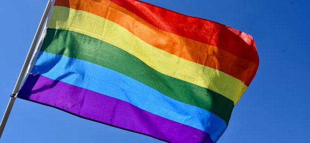 Prideflaggan är en banner för sexuella minoriteter och könsminoriteter.