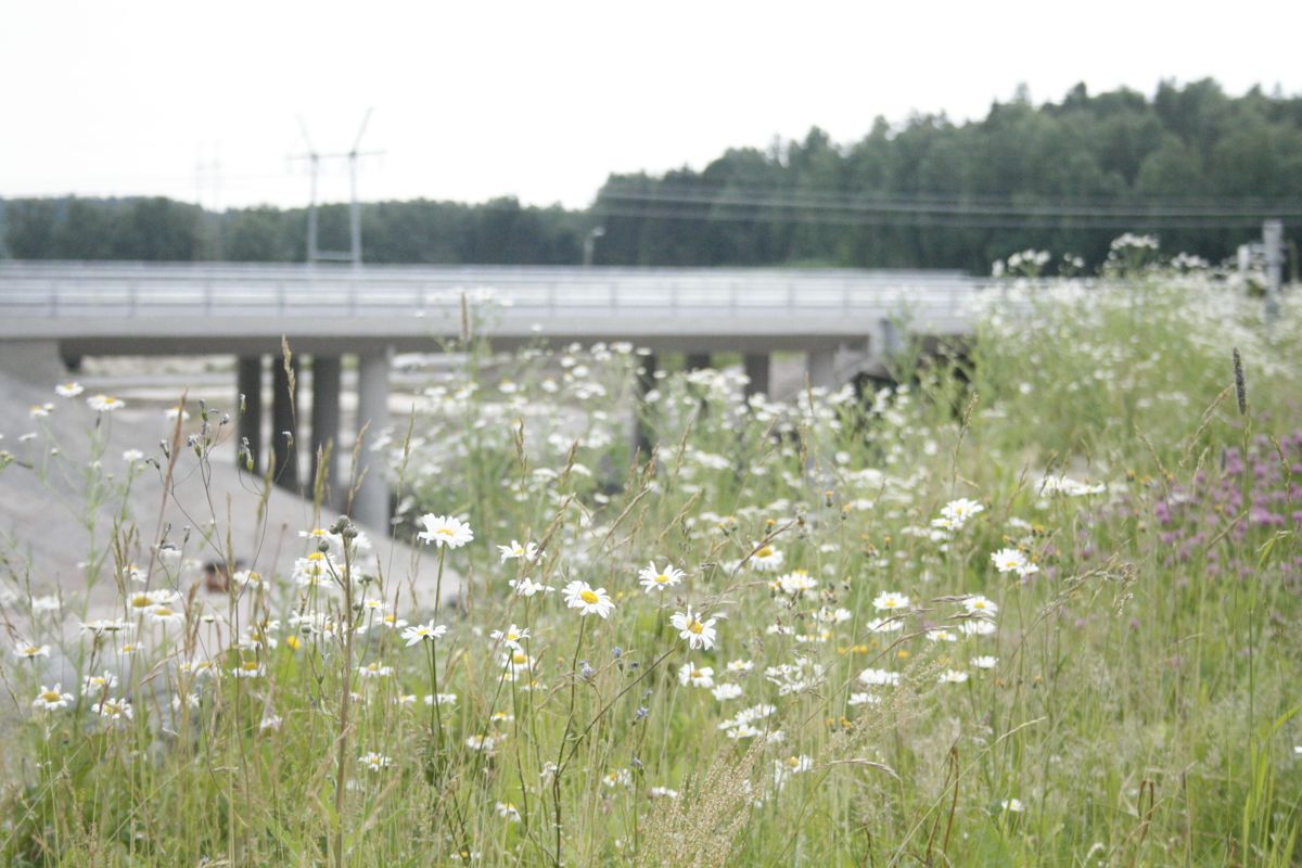 På den här bron löper riksväg 25 i fortsättningen.