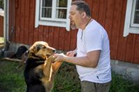 Hunden Cooper tycker om Johan Holmberg från Skeppsdal. Cooper var en av de hundar som överlevde resan från Tallinn till Helsingfors.