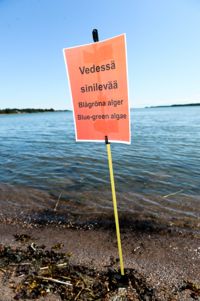En skylt varnar för blågröna alger i havsvattnet vid Mattby badstrand i Esbo i början av juli. 