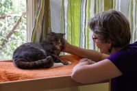 Figaro, en av katterna som bodde i katthemmet i början av juli, klappas av Päivikki Asmundela.