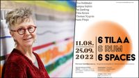Ylva Holländer är en av sex konstnärer som deltar i utställningen 6 Rum.
