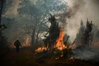 Torkan i Frankrike orsakade skogsbränder i sommar. Bara i närheten av Gironde härjade bränderna på över 15 000 hektar i mitten av juli under en extrem värmebölja.