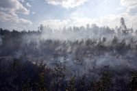 Klimatet förändras, vare sig vi vill det eller inte.