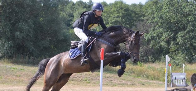 Stoet Cascada är den av Axel Lindbergs FM-hästar som har erfarenhet av trestjärniga tävlingar.