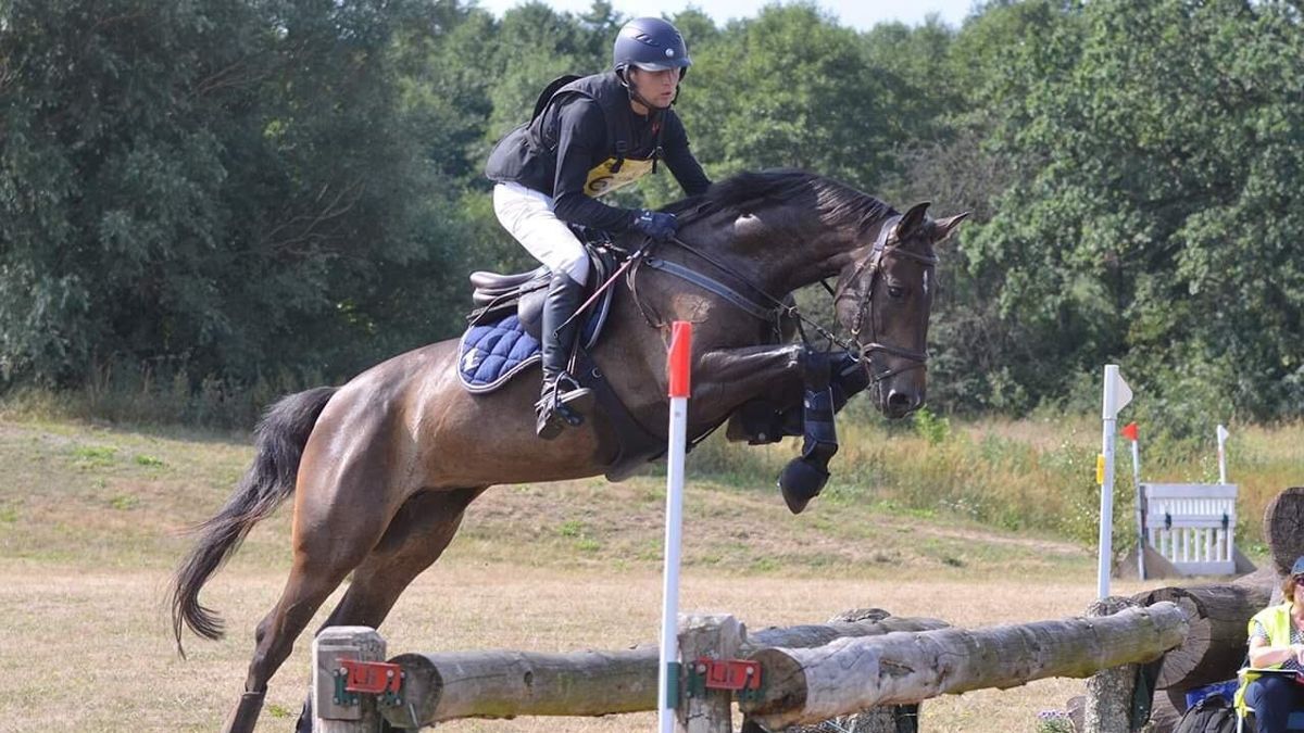Stoet Cascada är den av Axel Lindbergs FM-hästar som har erfarenhet av trestjärniga tävlingar.