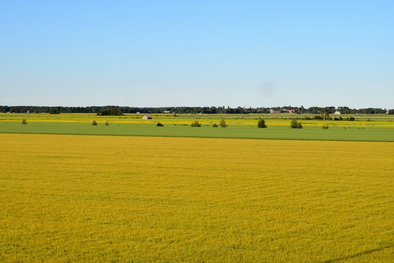 Söderfjärden, Vasa