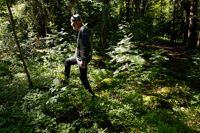 Biologen Mikael Henriksson säger att tömyggorna brukar vara mest talrika kring midsommaren. Nu på sensommaren är det andra myggarter som tar vid och de brukar vara mer fåtaliga.