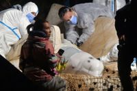 Veterinärer tog hand om vitvalen som simmat i floden Seine men kunde inte rädda djurets liv.