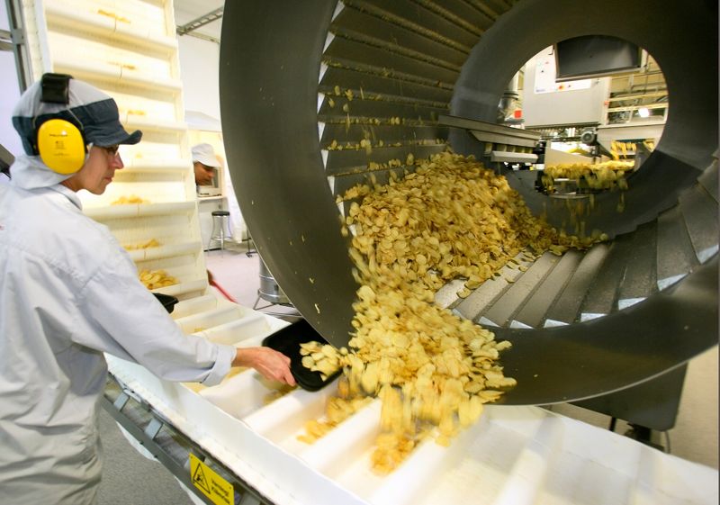 Bara vissa potatissorter duger för chipsproduktion.