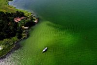 När det är synliga alger i vattnet ska du undvika att bada. Där finns cyanobakterier som kan producera giftiga ämnen som kan ge bland annat klåda och påverka magen. 2020 var det en kraftig algblomning utanför Tyresö. Arkivbild.
