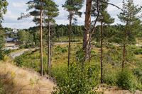 Inkapslingen av förorenad mark ska ske på ett område som är 100 meter gånger 70 meter på ena sidan av Gamla Helsingforsvägen och 150 meter gånger 50 meter på den andra sidan.