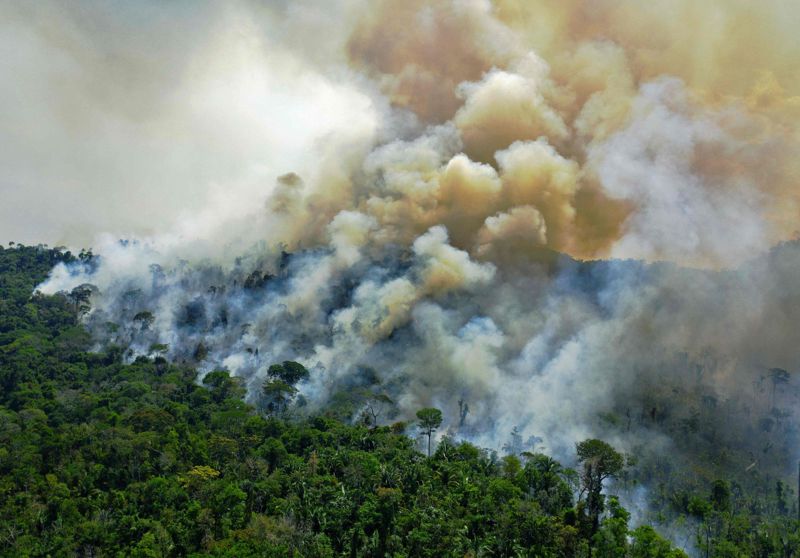 En skogsbrand i ett skyddat område i Amazonas. Bilden är tagen i augusti 2020 då tusentals skogsbränder härjade i Brasilien.