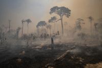 Fler bränder än på länge har rasat i brasilianska Amazonas under veckan. Arkivbild.