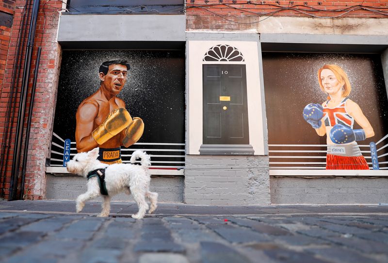En hund promenerar förbi en väggmålning av Rishi Sunak och Liz Truss i Belfast i augusti. Sunaks gyllene boxhandskar och Pradabälte skvallrar om bilden av Sunak som "lite förmer" än den vanlige britten.