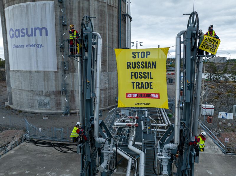 Aktivister från Greenpeace Norden har klättrat upp i de kranar som används till att lossa och lasta av gasen från fartyg i Gasums LNG-terminal i Nynäshamn.