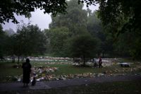 Sörjande britter lägger ner blommor i Green Park nära Buckingham Palace.