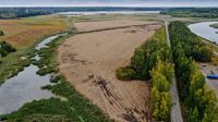 Området i Ruskis där vassen röjts påminner för tillfället närmast om en åker. Men då det regnar och vattenytan stiger ska fältet förvandlas till en gyttjig strand som lockar vadarfåglar.