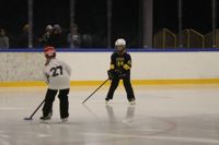 Enni Flykt och Maisa Koso hör till de unga tjejer som blivit bitna av ringetteflugan.