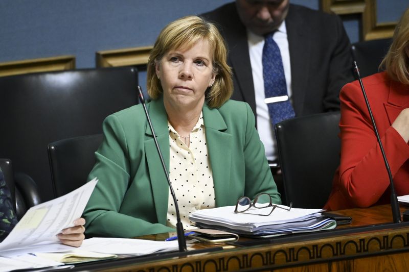 Anna-Maja Henriksson.