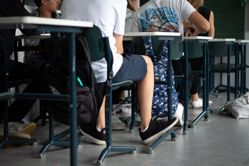 De politiker som HBL talar med är inte odelat förtjusta i förslaget att frångå sifferbetyg i svenskan i finska skolor.