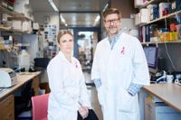 Professorn i urologi Antti Rannikko och forskardoktor Pauliina Munne.