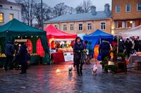 I Raseborg spås befolkningen minska med 7 procent i grundscenariot. Med stor invandring blir nedgången kring 4 procent. 