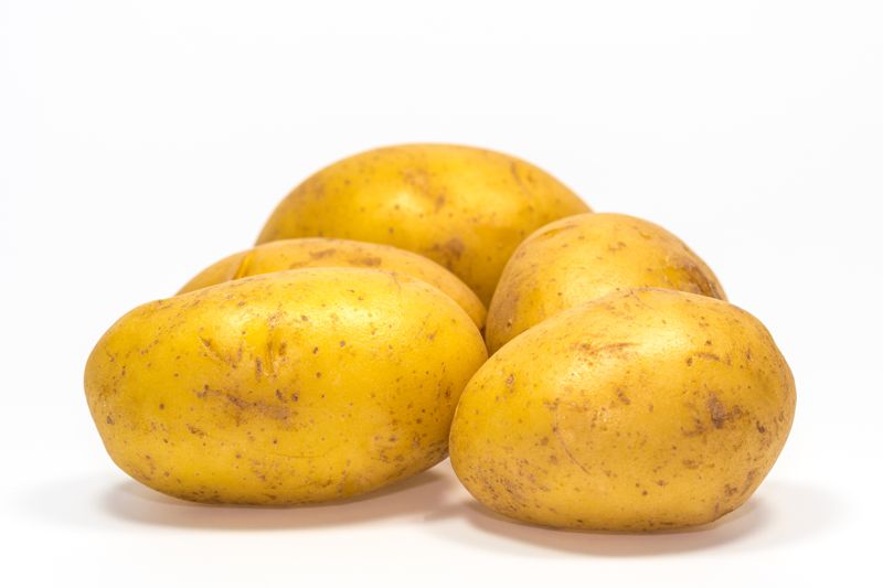 Här var det potatis men inte bandet Het potatis som Hasse spelar i i läromedlet Nya Vindar – som nästan fått kultstatus.