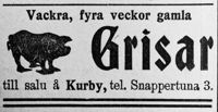VN 19 oktober 1922