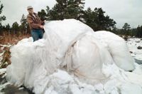 Ballongen låg kvar på åkern i Hammarland en längre tid. Då bilden publicerades i november 1998 lydde bildtexten i Nya Åland: ”Enormt mycket plast är det i den väderballong som störtade på en åker i Hammarland. Christer Eriksson funderar på vad den kunde användas till.”