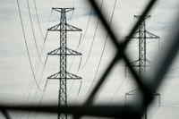 Det räcker inte med att bygga mera elproduktion, om inte de svenska elnäten förstärks kommer elen aldrig att nå konsumenterna, hävdar energiexperten Svenolof Karlsson.