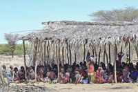 Fattigdomen är politisk. Afrikas horn upplever den värsta torkan på mer än fyrtio år. Cirka 20 miljoner människor i Djibouti, Etiopien, Kenya och Somalia har drabbats.