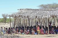 Fattigdomen är politisk. Afrikas horn upplever den värsta torkan på mer än fyrtio år. Cirka 20 miljoner människor i Djibouti, Etiopien, Kenya och Somalia har drabbats.