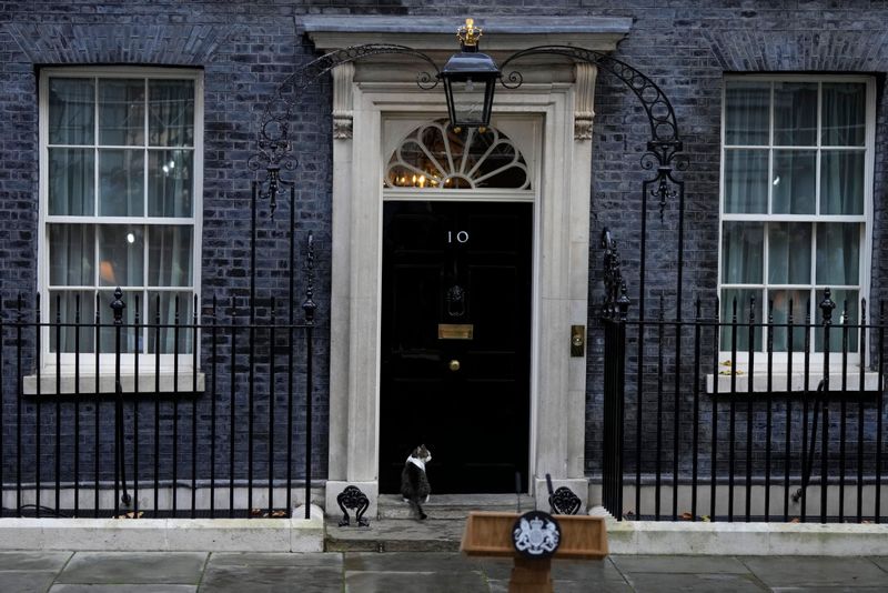 Katten Larry är en av få boende som har fått stanna kvar på Downing Street under de senaste årens omvälvningar.