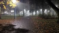 Spöklikt eller mysigt? Stadsparken i Borgå en tidig höstmorgon är egentligen ganska mysig.