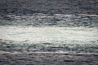 Ryssland har hela tiden anklagat länder i väst för att ligga bakom ett sabotage mot Nord Stream-ledningarna. Arkivbild.