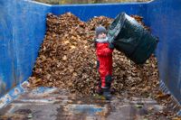 Så var jobbet gjort. William är 4 år och var så ivrig under krattningstalkot i fjol att familjen är på plats i Brunnsparken också i år. Han tömmer ut löv i en container som ska forslas bort.