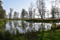 Mariehamns konstgjorda våtmark vid halvön Nabben invid Slemmern ska förbättra gäddans lekområden och har belönats med Nordiska rådets miljöpris.