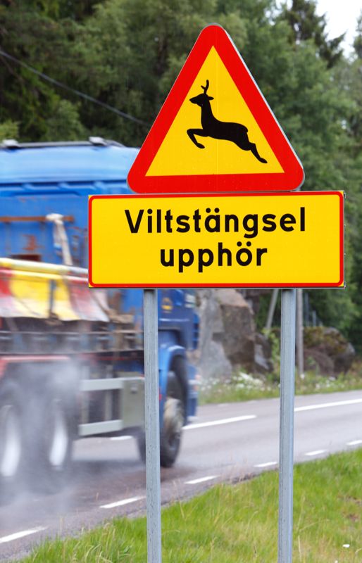 Vilt stängsel eller viltstängsel – spelar det någon roll? På den här vägen i Sverige har ordet korrekt skrivits ihop, medan en olycklig särskrivning nått hela vägen till riksväg 7 i höjd med Vanda.