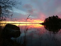 Så här vacker gryning kunde man skåda på Emsalö på morgonen.