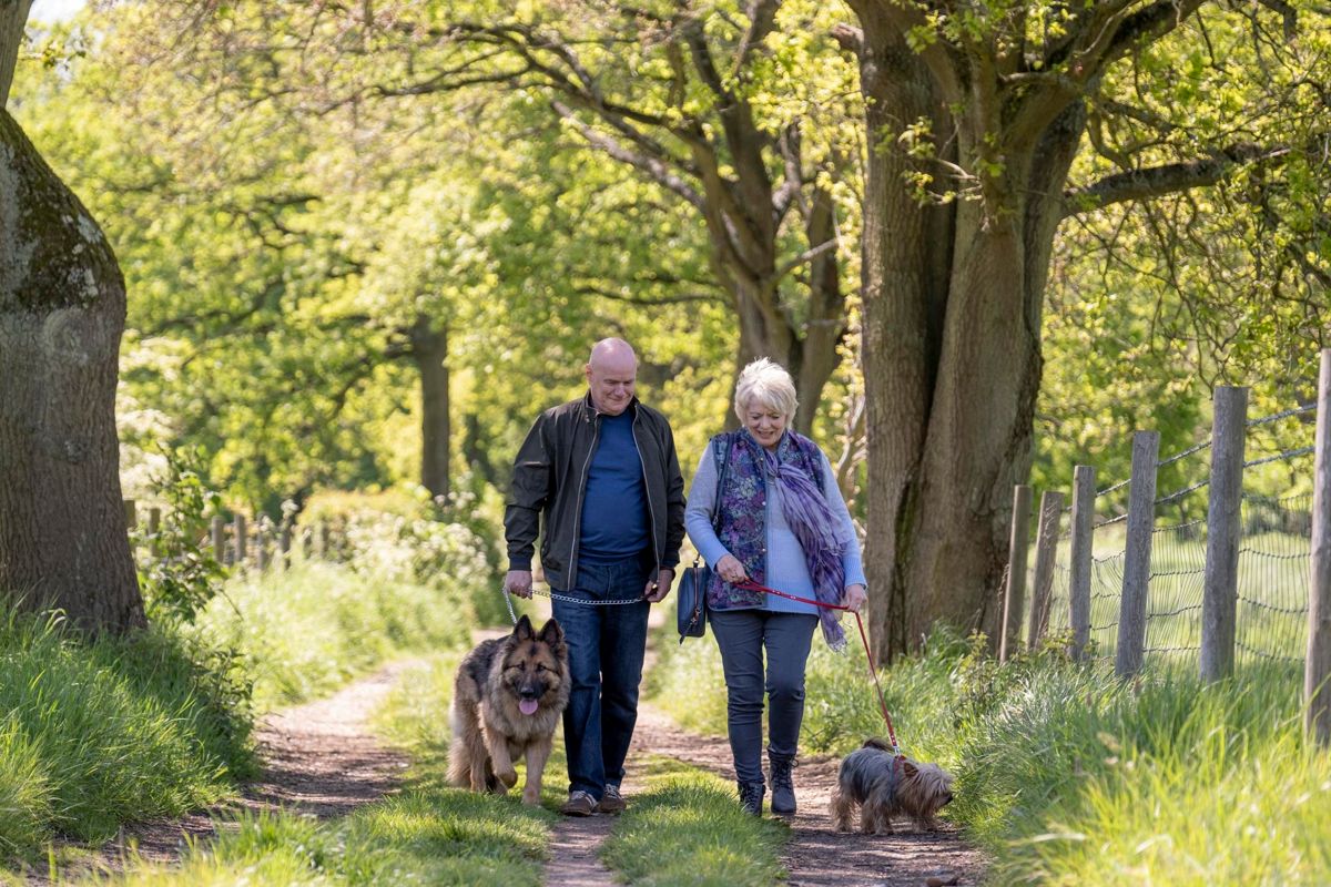 Alison Steadman och Dave Johns är ett par som lär känna varandra under 23 hundpromenader i en park i London.