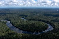 Om världen kan enas om att rädda Brasiliens regnskogar gör den maximal nytta för både klimat och miljö med ett slag. Men Brasilien och flera andra länder i det globala syd kräver att de rikare länderna öppnar plånboken och finansierar klimat- och miljöåtgärder skilt. Det skaver på miljökonferensen i Montreal.