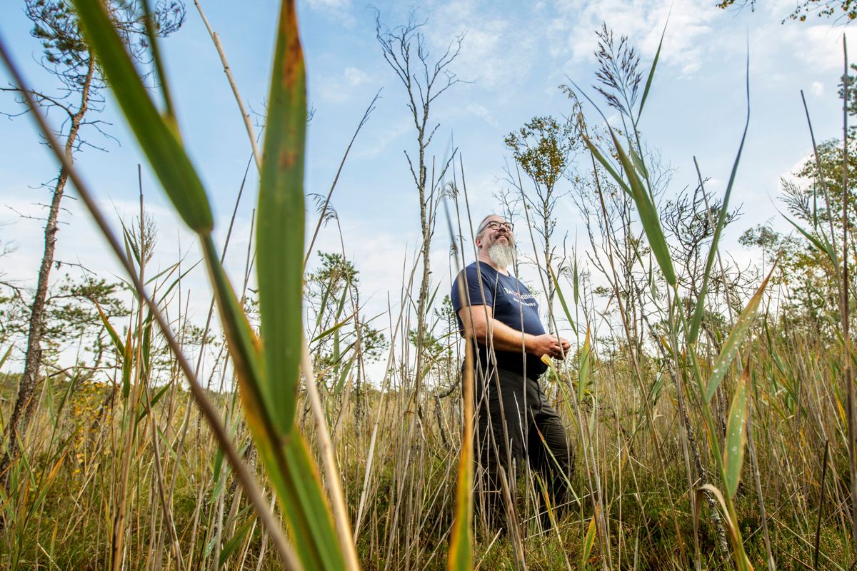 I Finland har omkring 30 000 hektar torrlagda myrar återställts genom att dikena har fyllts igen. Genom ekologisk kompensation kunde man göra likadant på uppemot en miljon hektar dikade myrar. – Det är ett sätt att stoppa utarmningen av livsmiljöer, säger professor Janne Kotiaho.